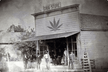 Colorado cannabis history